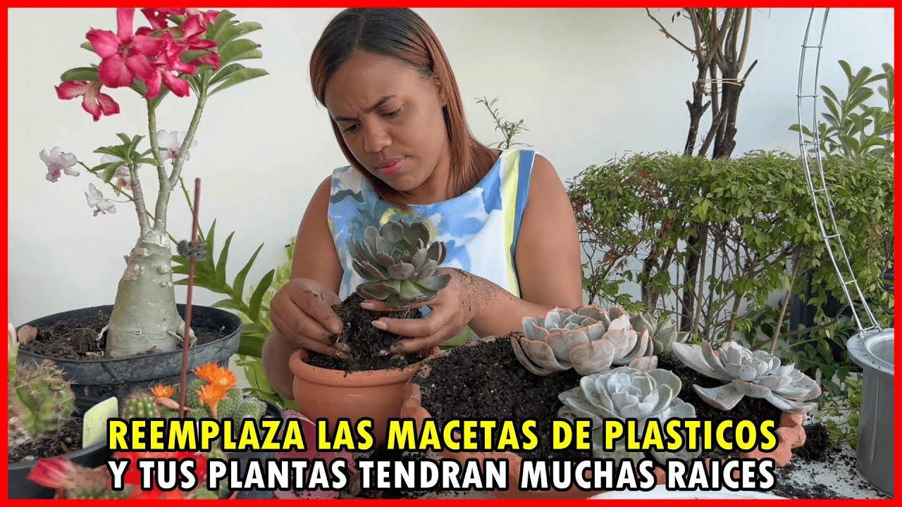 Reemplaza las macetas pl&aacute;sticos y tus plantas se pondr&aacute;n felices y tendr&aacute;n muchas ra&iacute;ces