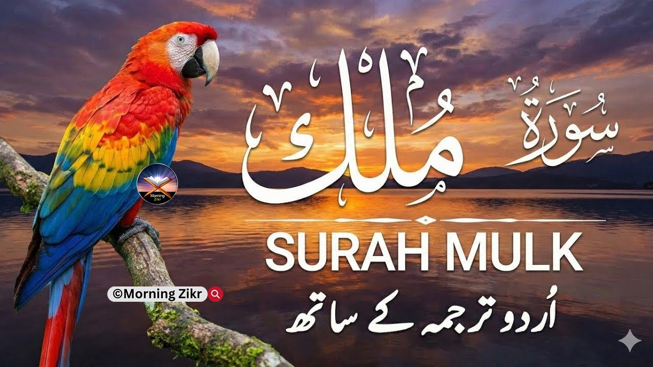 Surah Al-Mulk سورة الملك | Heart-Calming Recitation for Protection, Peace & Night |ْ Qari Mansoor