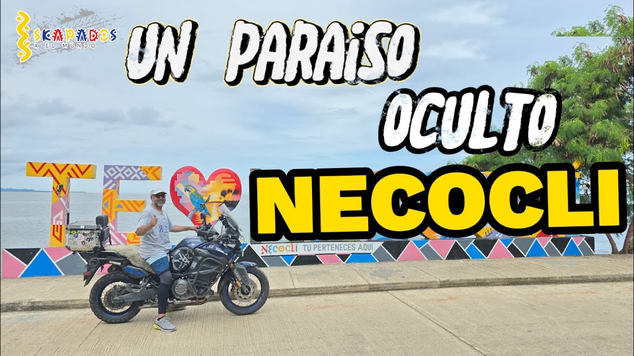 NECOCLI | ¡Increíble! Así es Vivir un Día en el Paraíso ¿Qué Hacer en el Caribe Colombiano?
