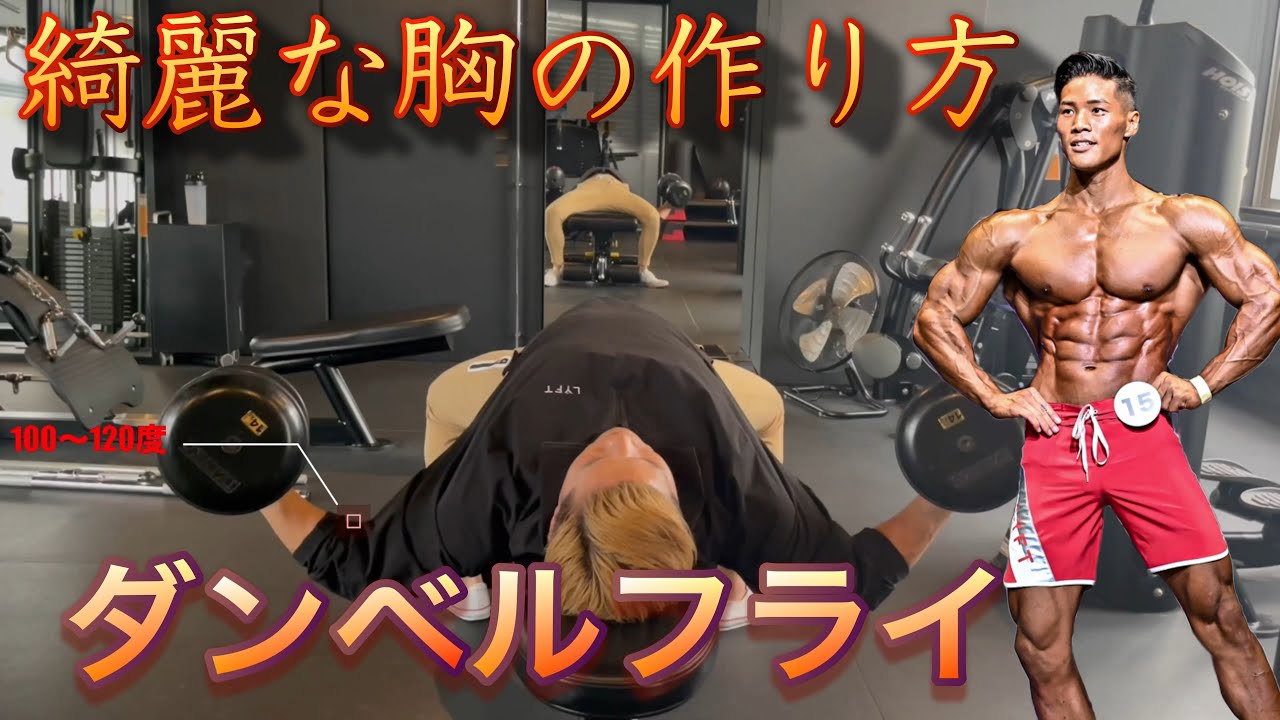 綺麗な胸の作り方(ダンベルフライ解説)