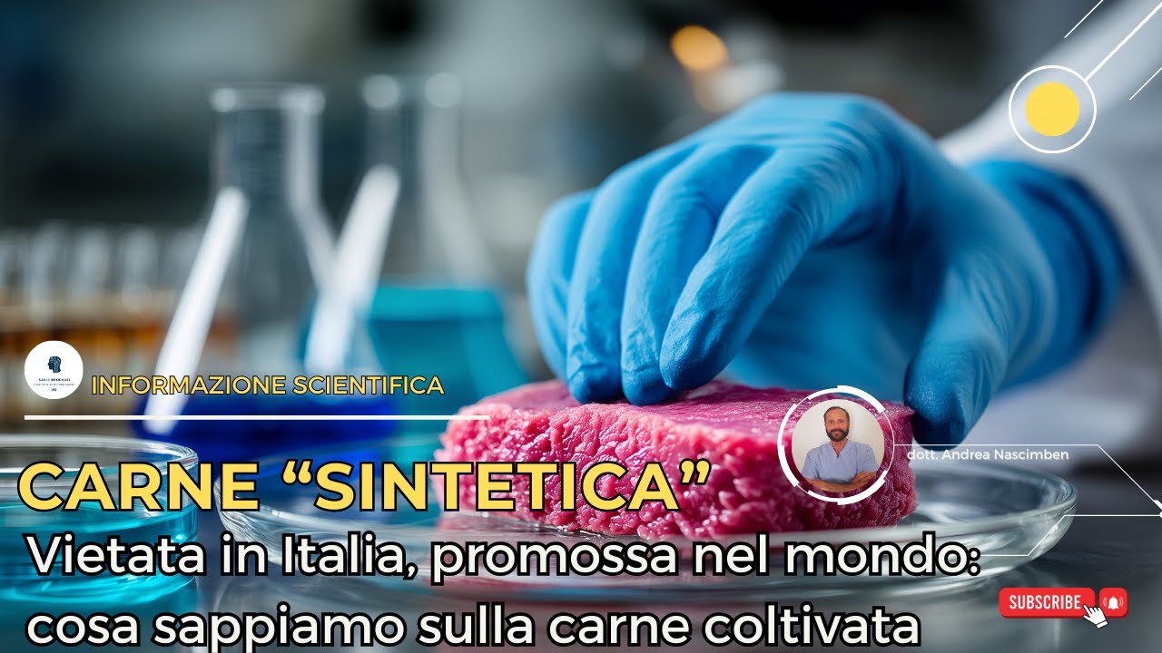 Vietata in Italia, promossa nel mondo: cosa sappiamo sulla carne coltivata
