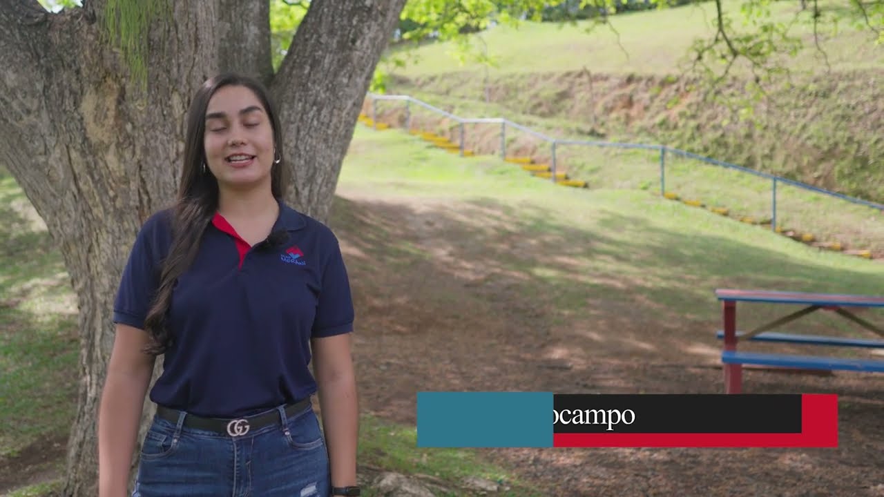 Aprendizaje Integral para los Más Pequeños: Aulas Múltiples en el Liceo Merani