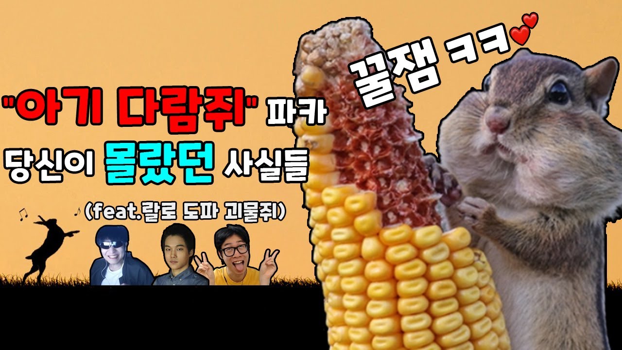 "손인욱" 파카, 당신이 몰랐던 14가지 사실