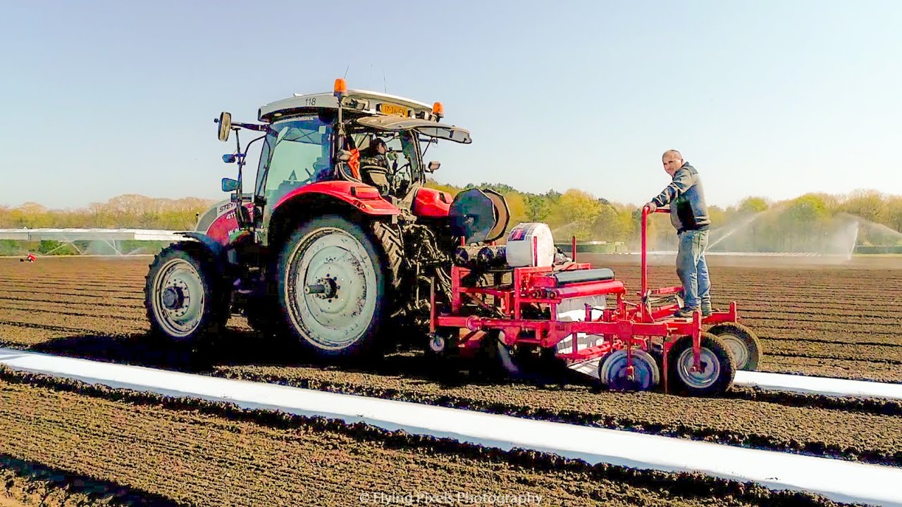 Plastic leggen / Laying plastic / Plastikfolie legen / Steyr / Aardbeien / Strawberries / Erdbeeren