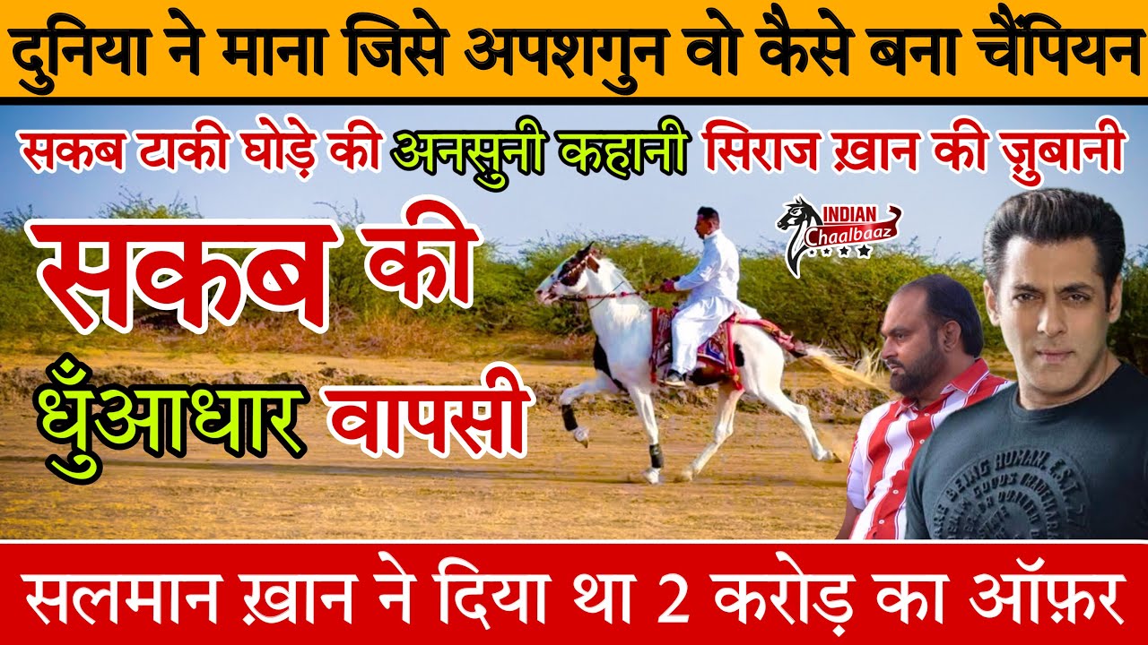 दुनिया ने माना जिसे अपशगुन वो कैसे बना चैंपियन Sakab घोड़े का सलमान ख़ान ने दिया था 2 करोड़ का ऑफ़र