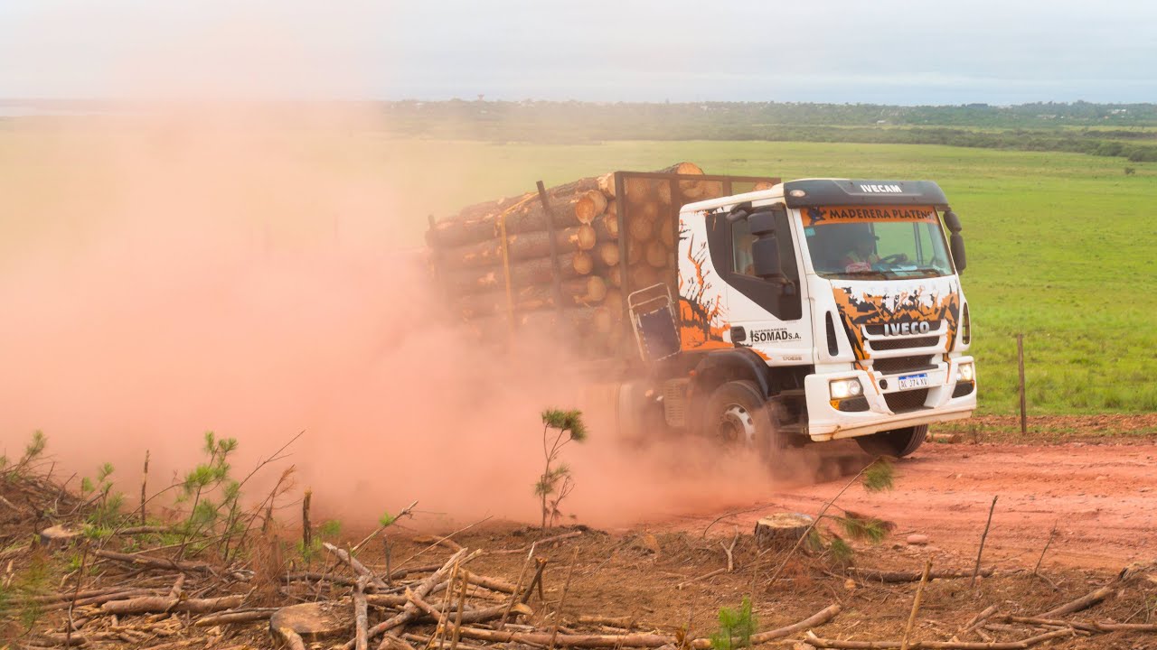 Transporte forestal en Corrientes