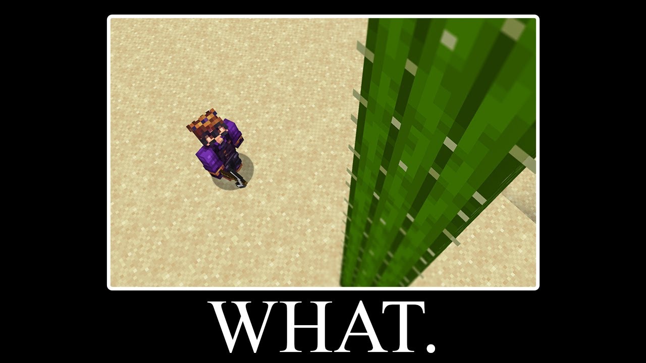 20 Minutes of the Silliest Minecraft Clips