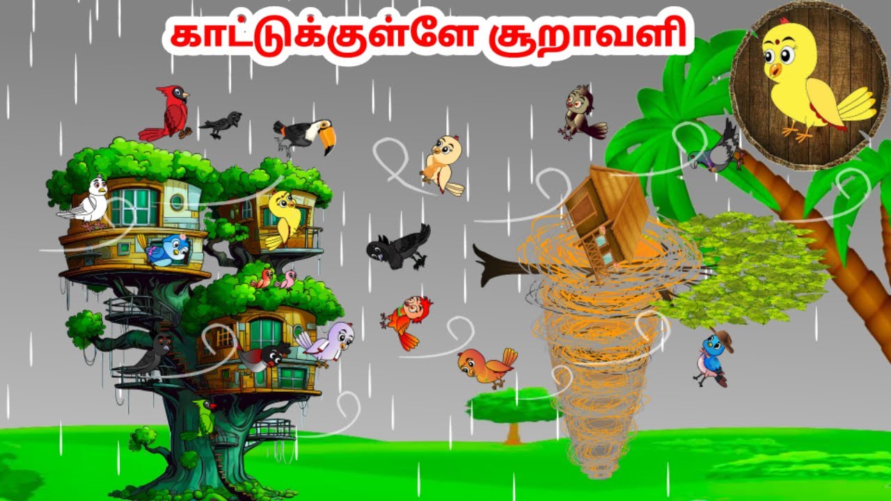 கார்ட்டூன் 16/10/24 | Feel good stories in Tamil | Tamil moral stories | Beauty Birds stories Tamil