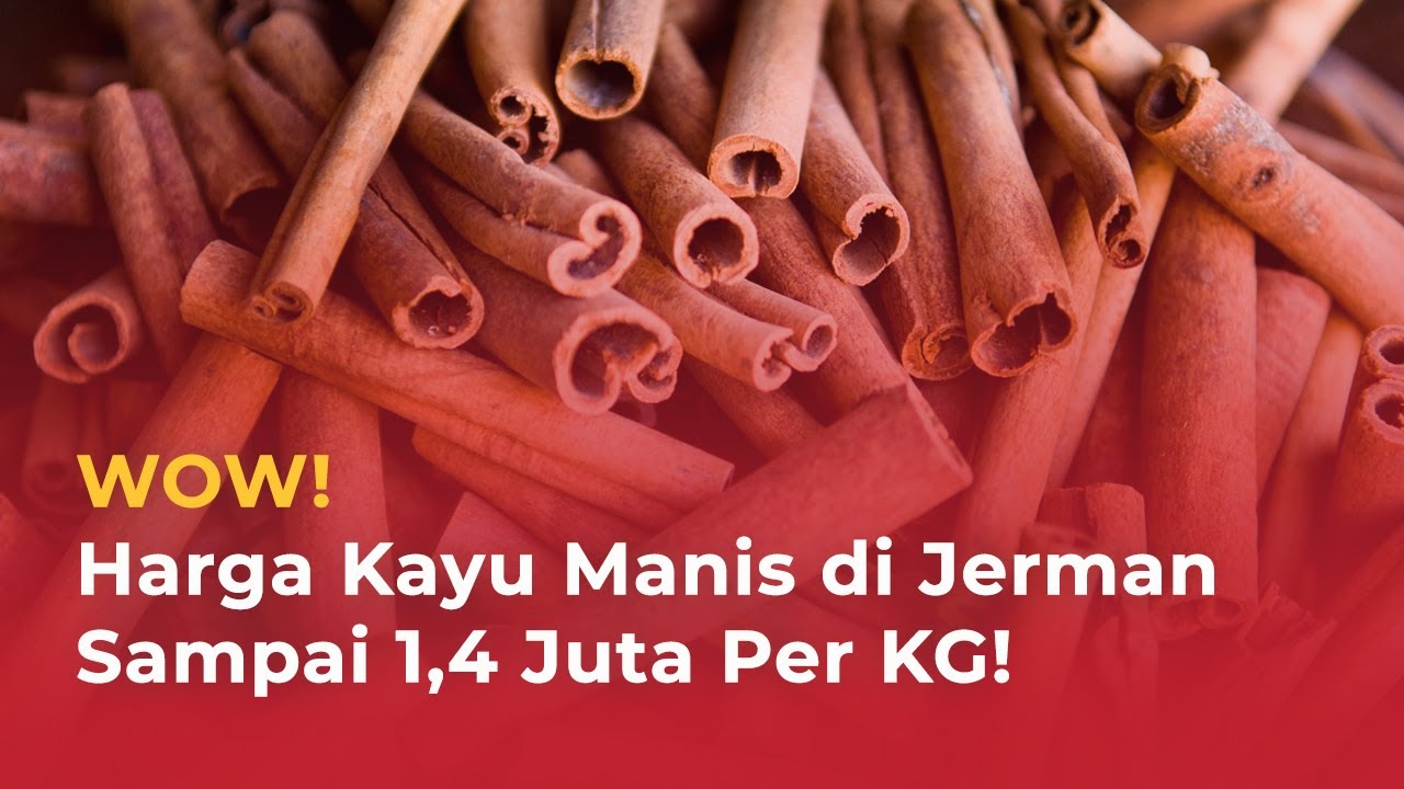 Sedapnya Bisnis Ekspor Kayu Manis di Luar Negeri