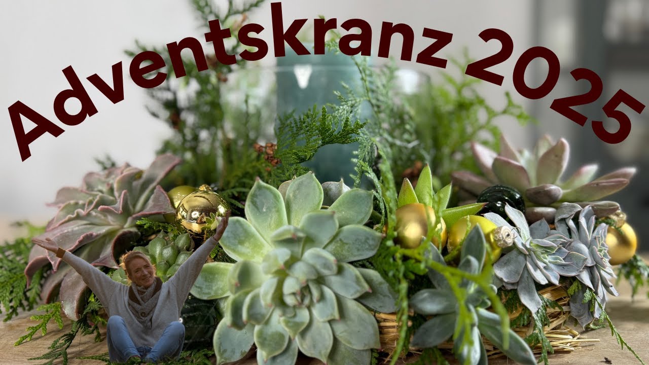 DIY Adventskranz mit Thuja & Sukkulenten 🎄 weihnachtlich e Tischdeko zum verzaubern 