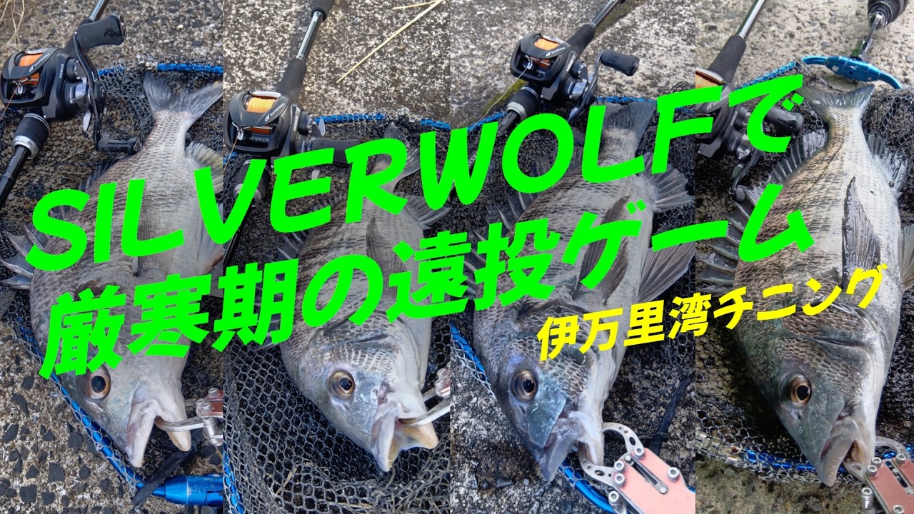 IMARI Lure fishing part274(伊万里ルアーフィッシング)...SILVERWOLFで厳寒期の遠投ゲーム!(^^)!