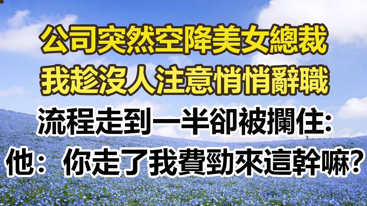 公司突然空降美女總裁，我趁沒人注意悄悄辭職，流程走到一半卻被攔住，他：你走了，我費勁來這幹嘛？#幸福敲門 #為人處世 #生活經驗 #情感故事
