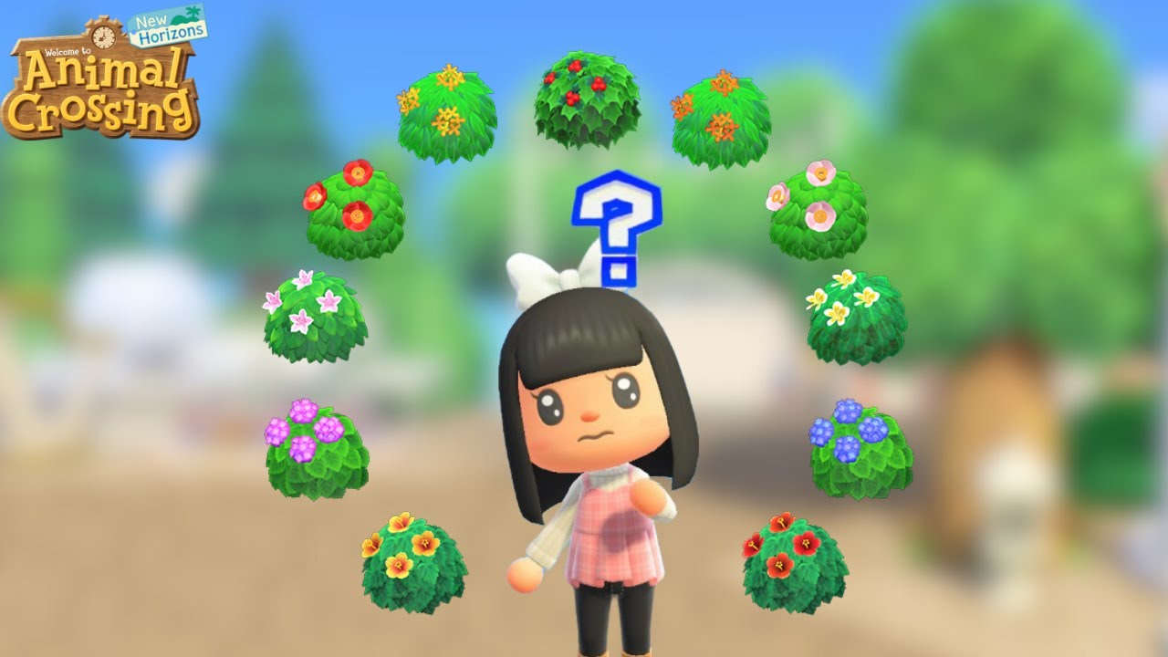 THE BEST WAY TO USE BUSHES ON A FOREVER ISLAND? | Animal Crossing New Horizons