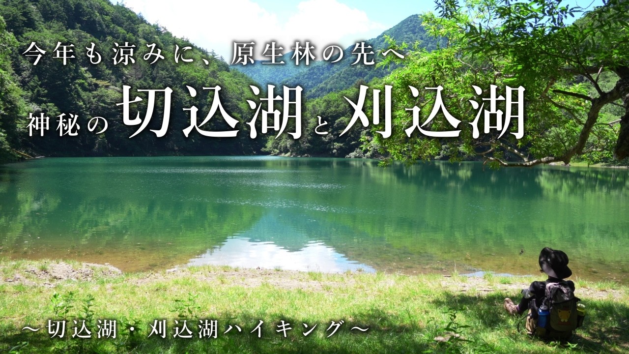【奥日光】今年も涼みに、原生林の先へ 切込湖と刈込湖【ハイキング】