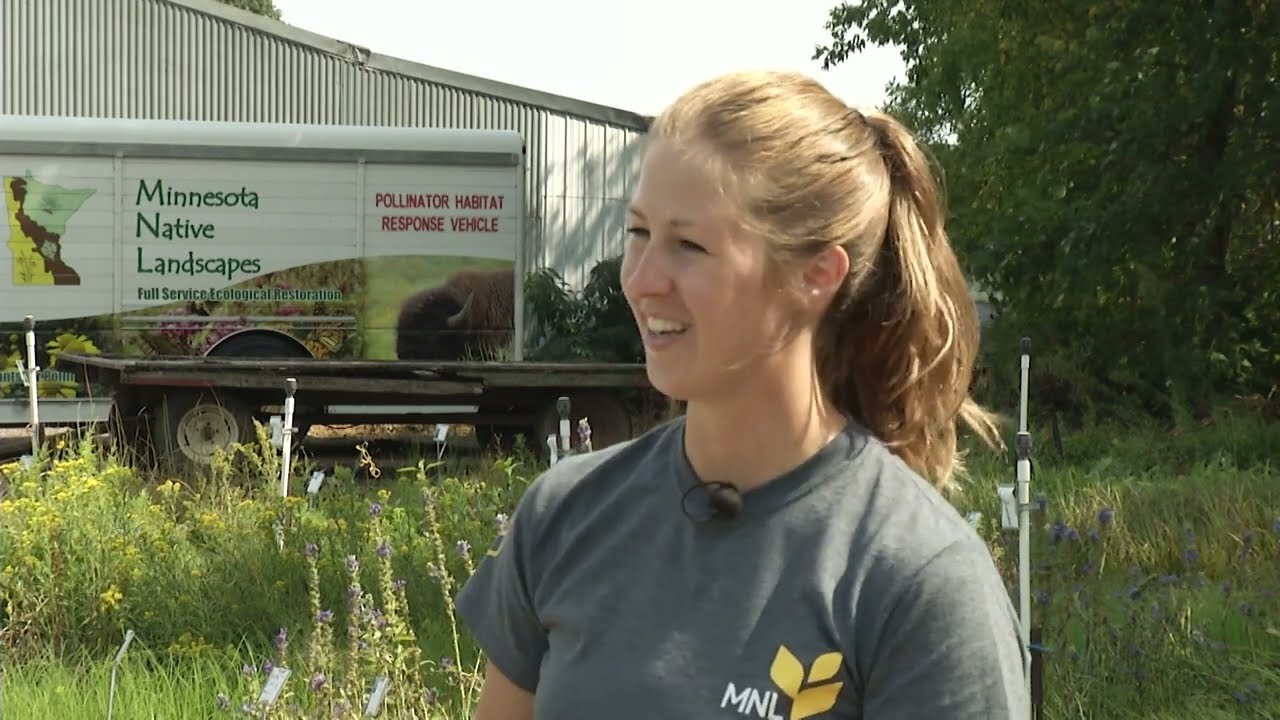 Prairie Yard & Garden | Why Native Plants?