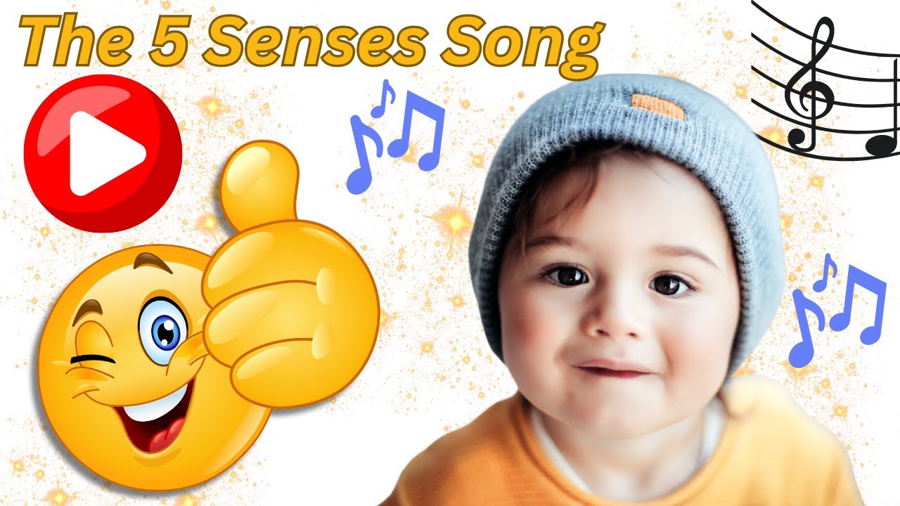 Five Senses Song! Sing Along and Learn. Toddler Learning.