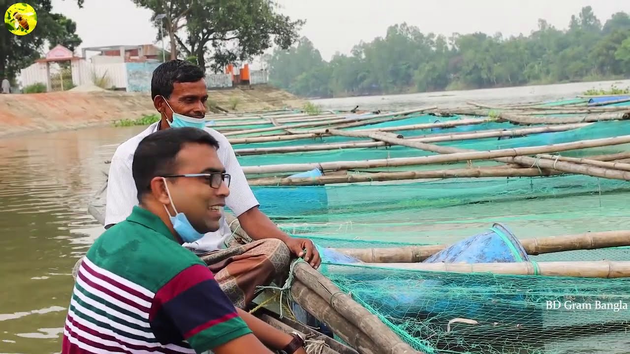 করতোয়া নদীতে ভাসমান খাঁচায় মৎস্য চাষে সফল সিরাজগঞ্জের রমজান ভাই | BD Gram Bangla