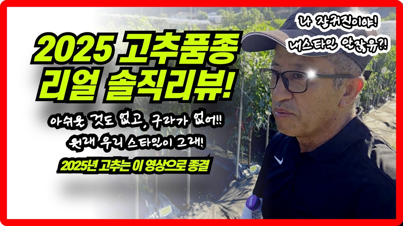 2025년 모든 고추품종을 리뷰했습니다. feat. 고추명인 장귀진