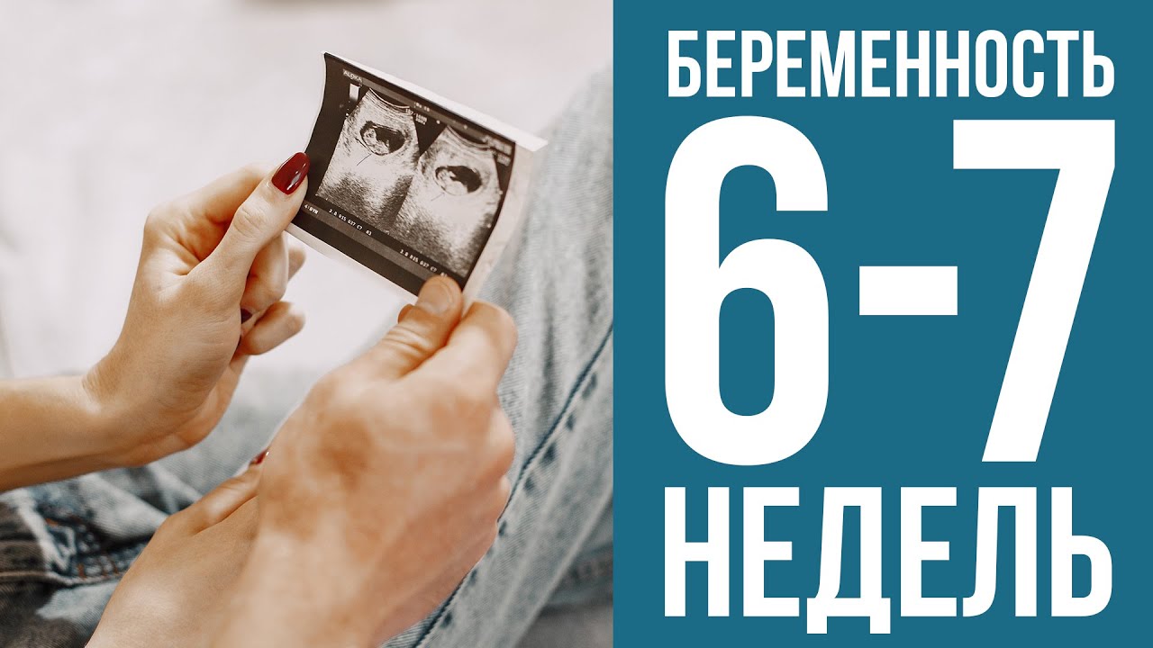6-7 недель беременности: что происходит с малышом и как чувствует себя мама?