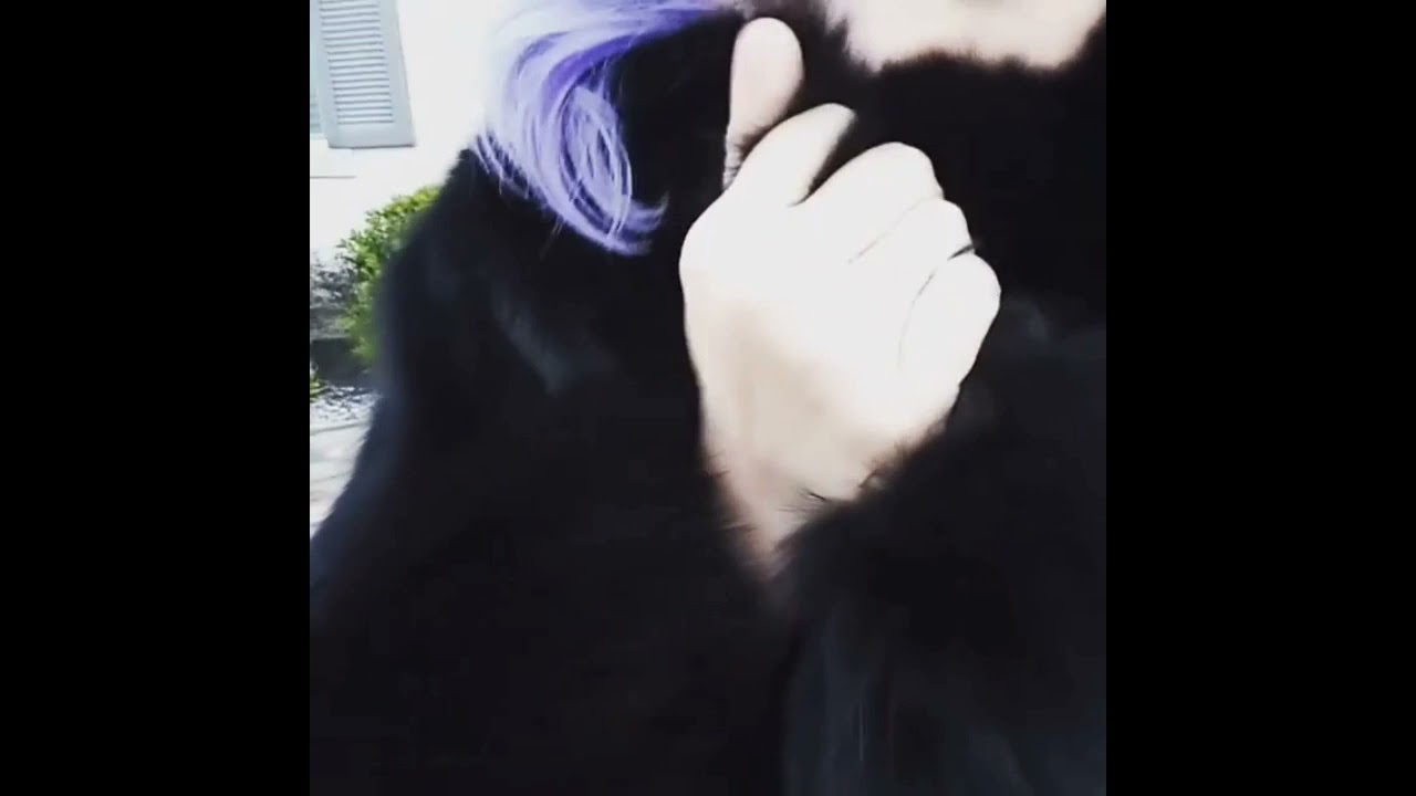 Touching Fur Coats