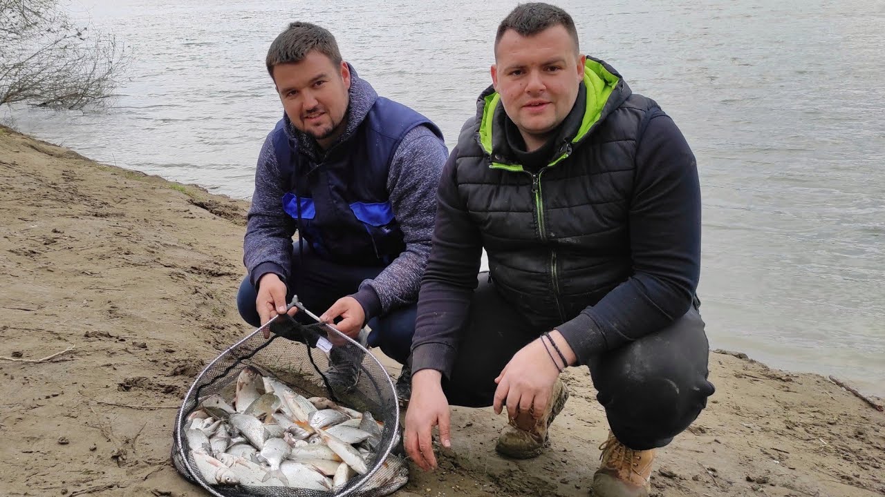 Pecanje bele ribe feederom na Savi. Ep. 11