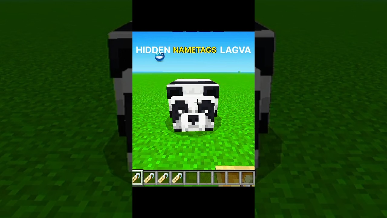 Minecraft Op Nametags 🤯💀