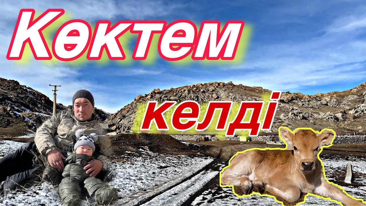 Мал төлдеп, көктем ерте кележатыр.. 2025