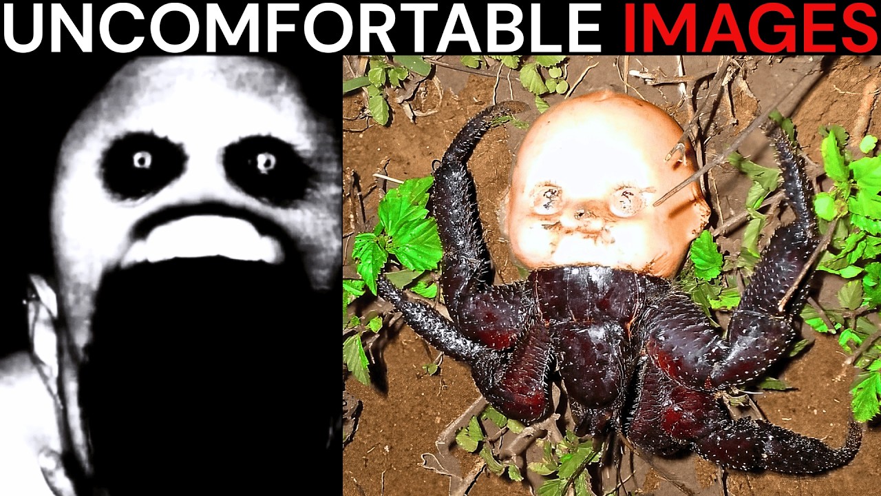 Mr Incredible Becoming Uncanny meme (Uncomfortable images) | 50+ phases