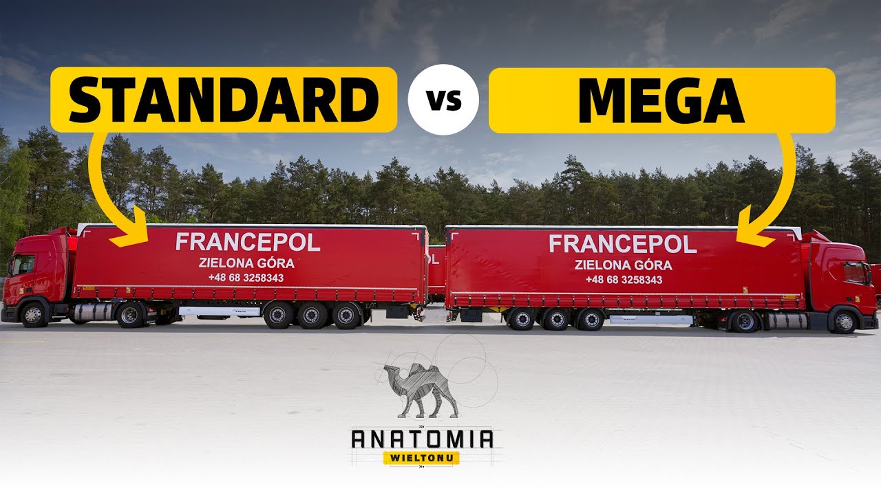 Naczepy kurtynowe mega vs. standard. Sprawdź ich zastosowanie!