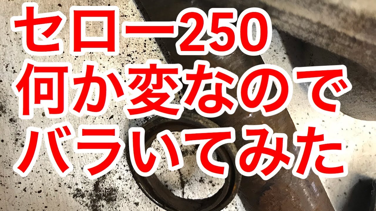 セロー250リアサス周りOH