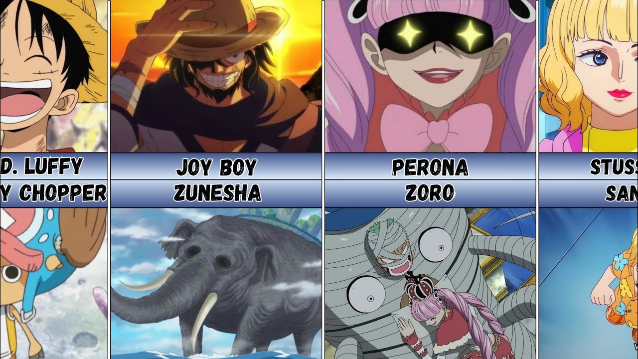 One Piece Characters and Their Pets