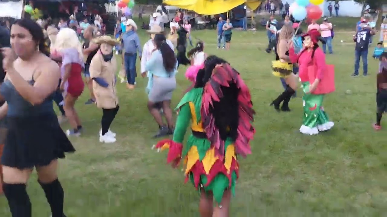 carnaval tepozoapa ixhuatlan de madero Veracruz 2024