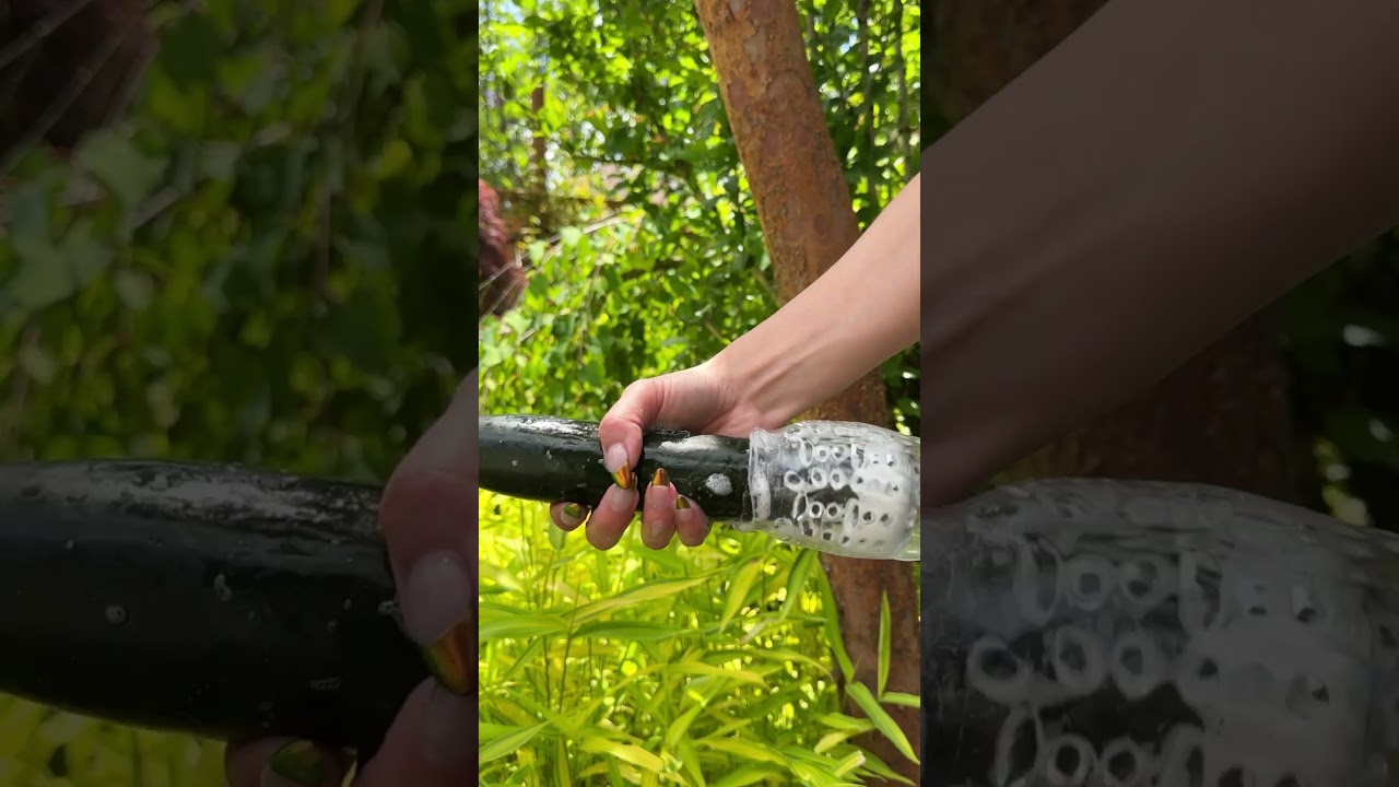Meet the Male Rose Pro Rotating & Thrusting Sex Toy