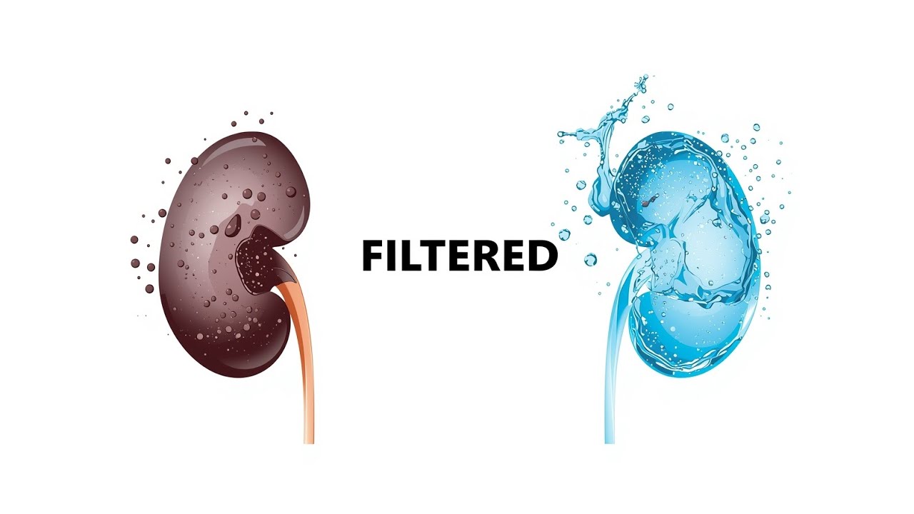 I Drank More Water for 30 Days. My Kidneys Reacted.