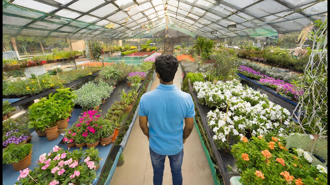 The Enchanted Gardens: The Largest Nursery In Pcmc Pune