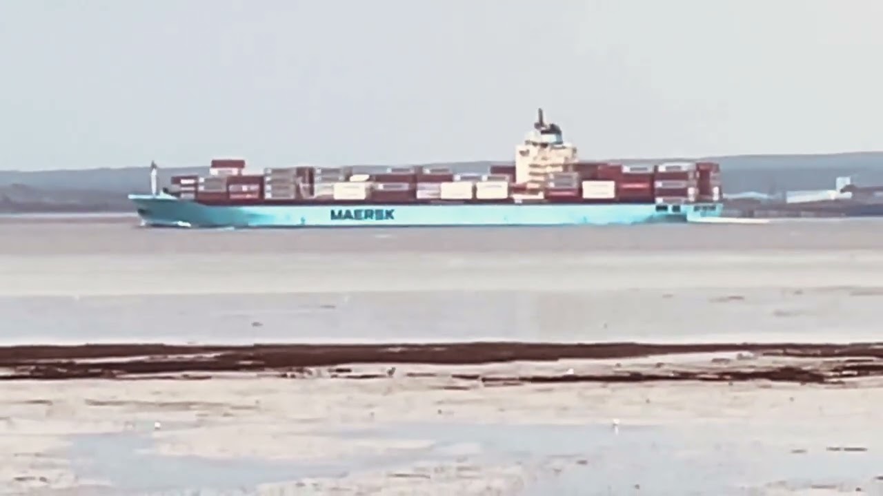 Maersk Izmir Container Ship ( Maersk Line )
