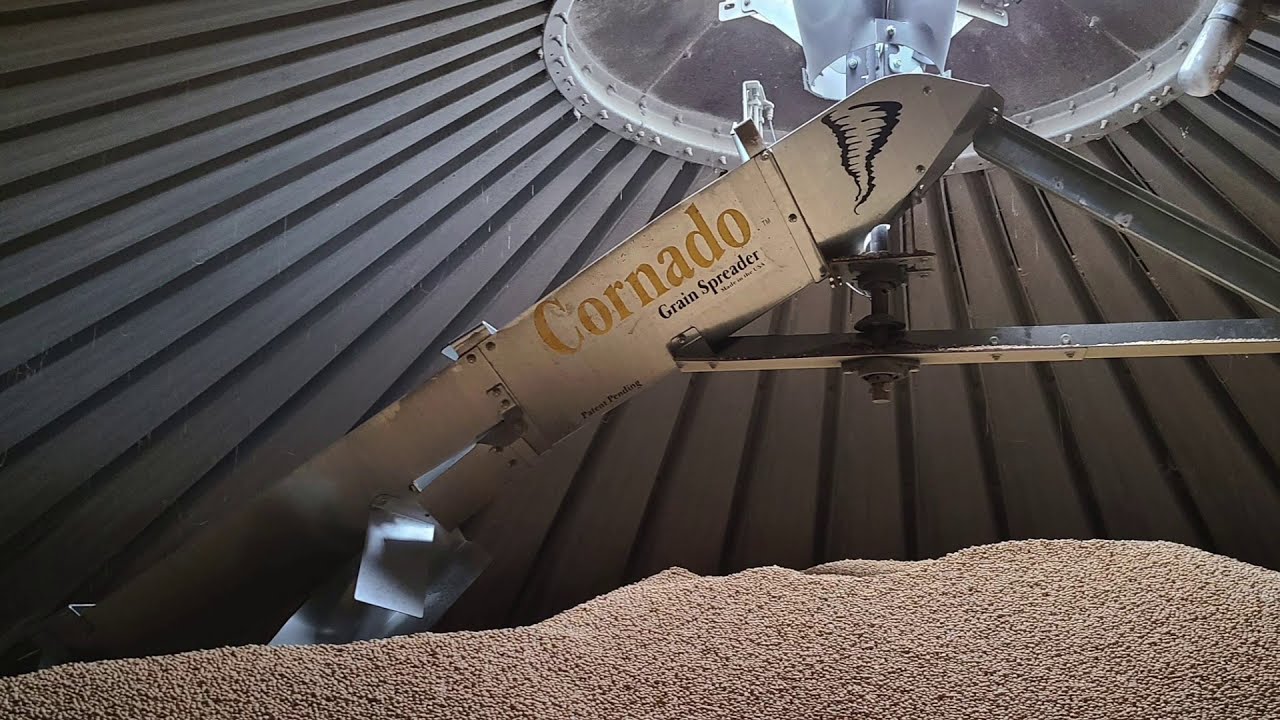 Cornado in Motion