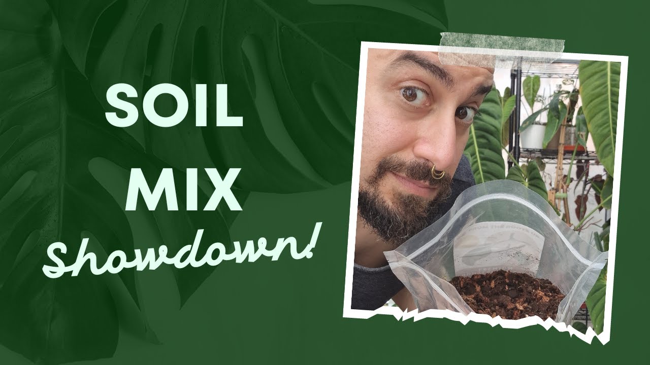 Unleash Your Houseplants' True Potential 🔓🌿: Plant Prescription Soil Mix Comparison & Review