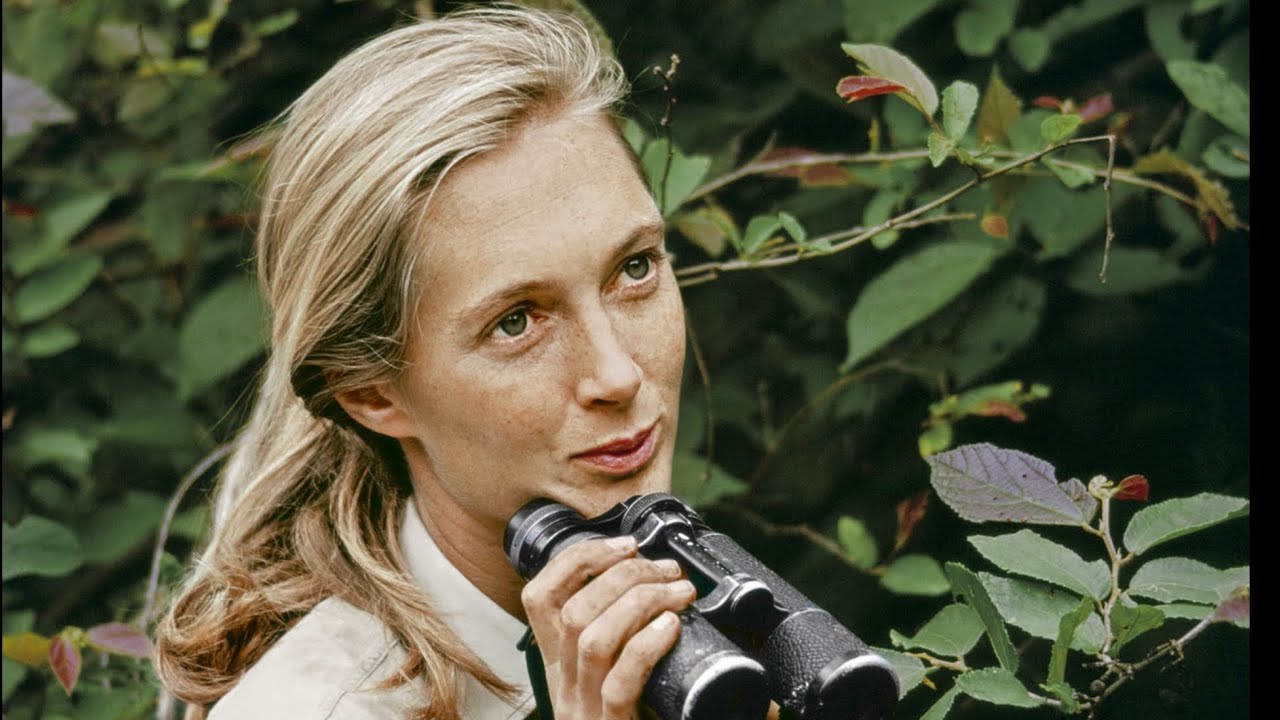 In loving memory of Jane Goodall, we will miss you but we will never forget you.