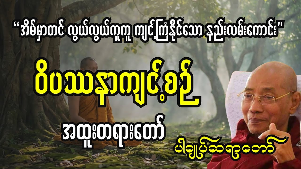 ဝိပဿနာကျင့်စဉ် အထူးတရားတော်-ပ်ချုပ်ဆရာတော်#တရားတော်များ #buddha 