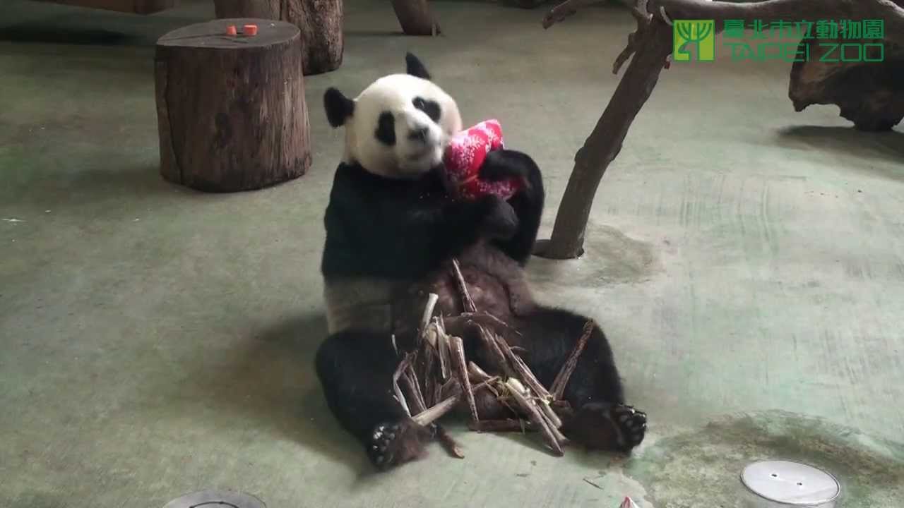 超卡哇伊大貓熊圓圓玩香包 Giant Panda Yuan Yuan Celebrate Dragon Boat Festival