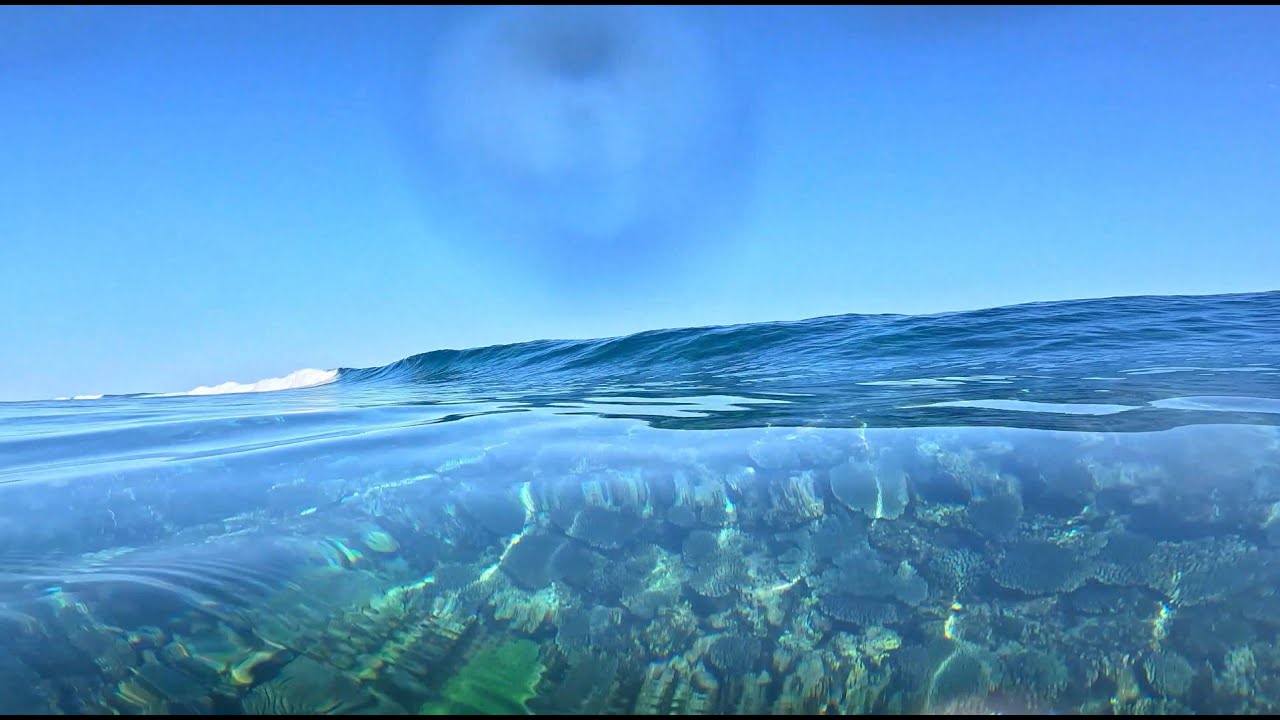 SCORING GLASSIEST NORTHERN REEF *EXTREMELY SHALLOW* (TURNS +BARRELS)