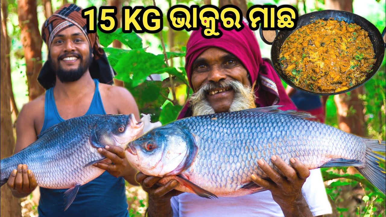 15 KG ଭାକୁର ମାଛ || BHAKURA MACHHA JHOLA | Katla Fish Curry Recipe for Children | Katla Fish Cutting