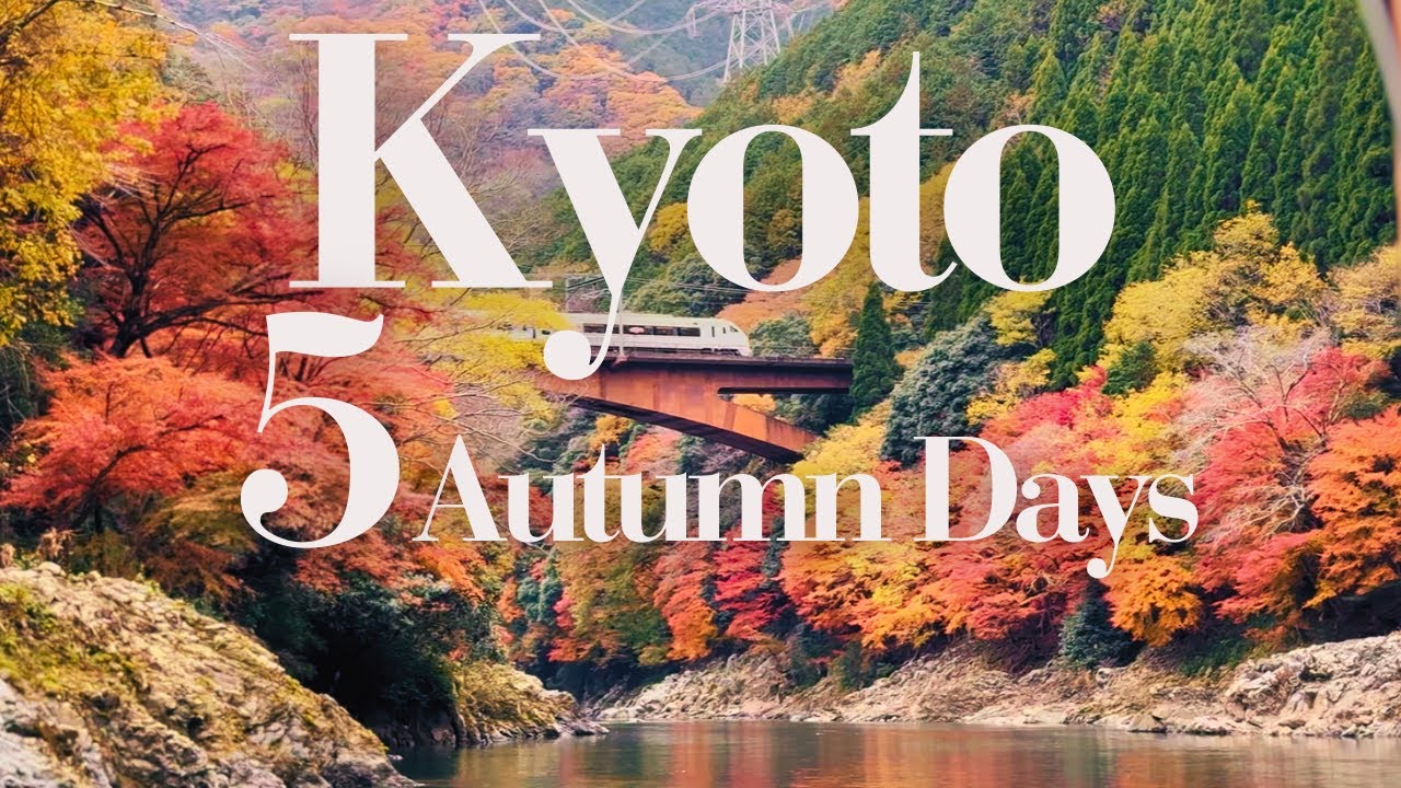 Kyoto Autumn 🍁 Best Places to Visit, Temples, Palace, Shopping, Tasty Food & Desserts