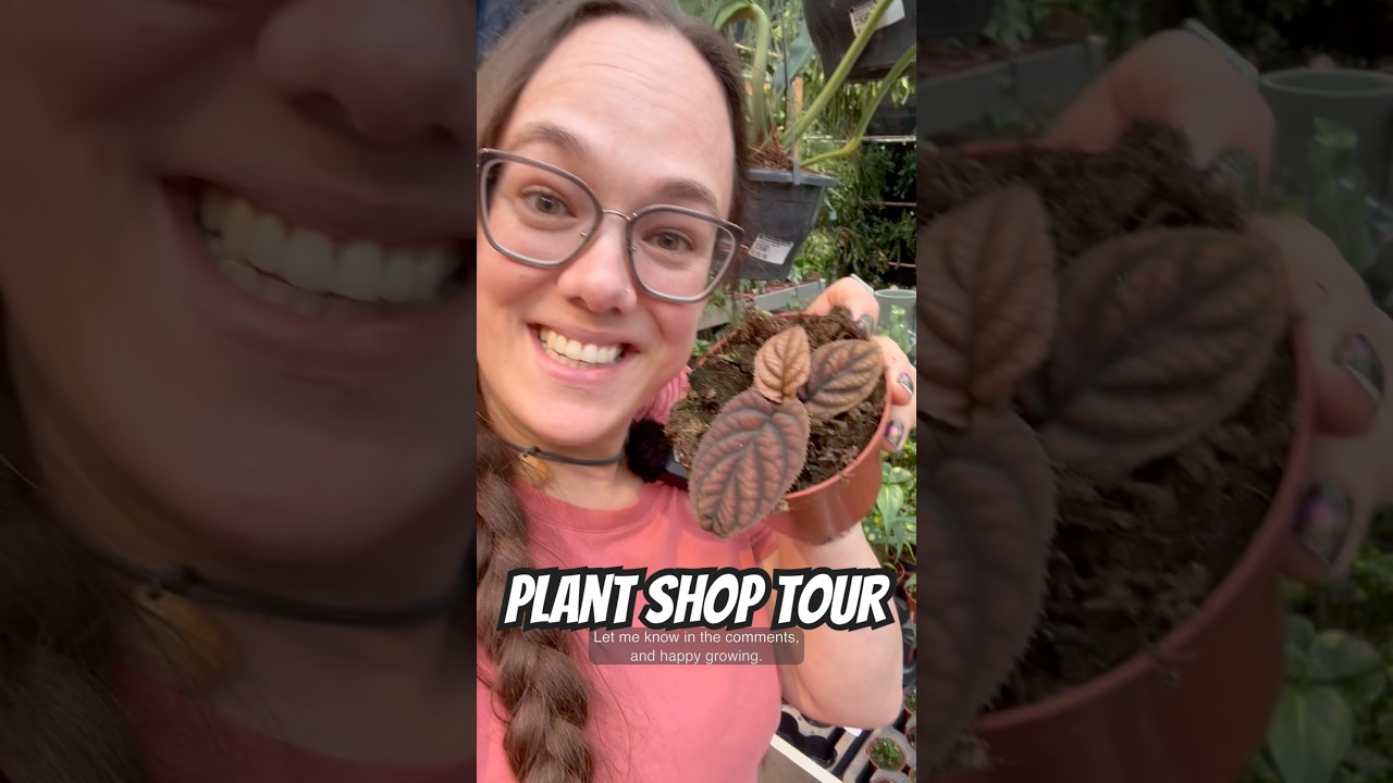 Plant shop tour! Went to see Bosrand Oegstgeest 😍 Which one do you like?
