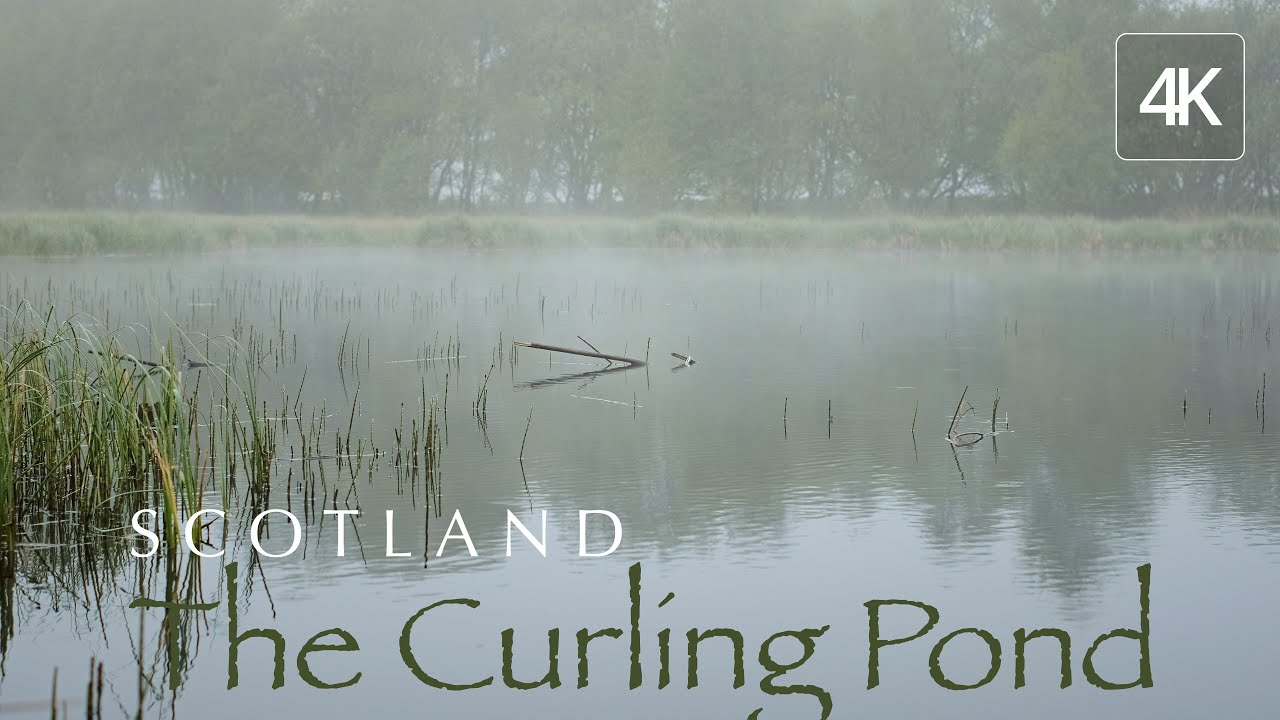 Misty Loch Ambience — 1 Hour No Music, No Talking, Pure Peace