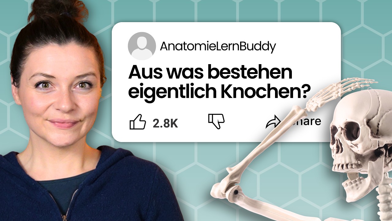Diese Substanzen deines Knochens machen ihn HOCHAKTIV