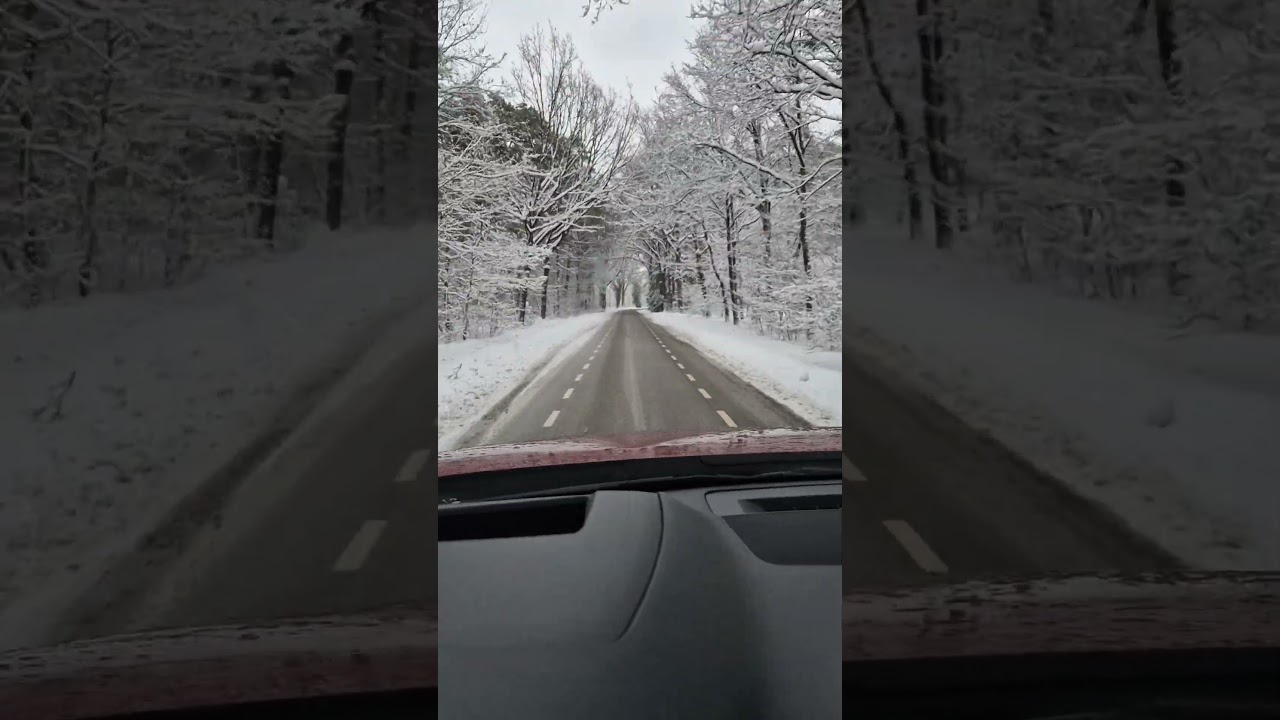 Onderweg vanaf Distelloo.