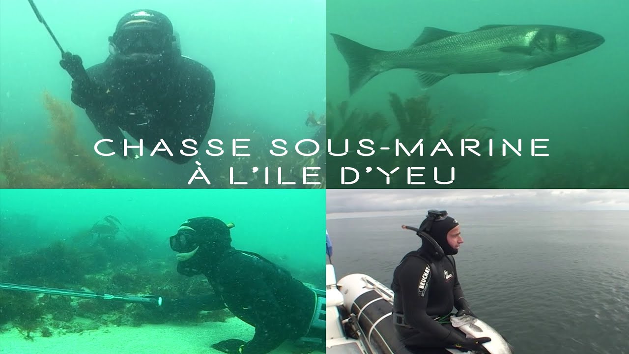 CHASSE SOUS-MARINE  À L'ILE YEU
