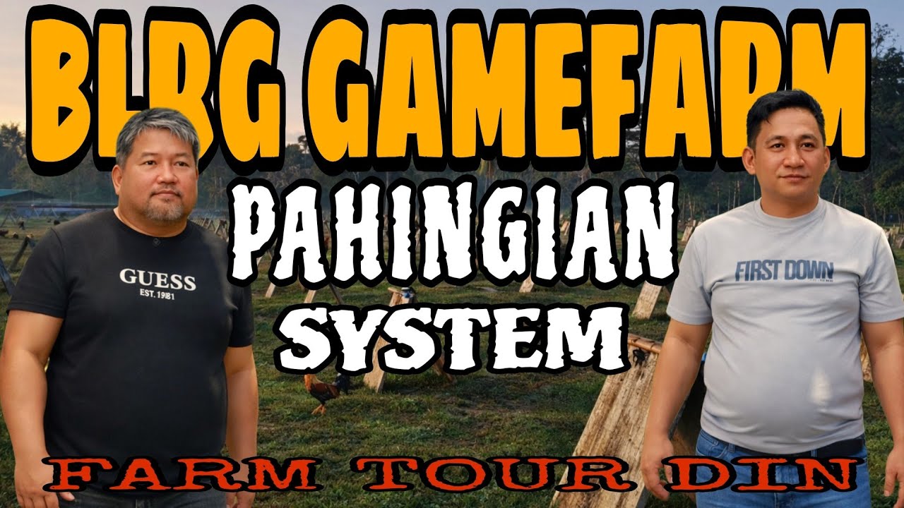 Kung may pa hulogan system sa BLRG GAMEFARM meron Naman sila PAHINGIAN system